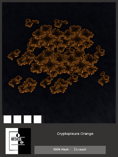 MeshedUp: Cryptopleura Orange