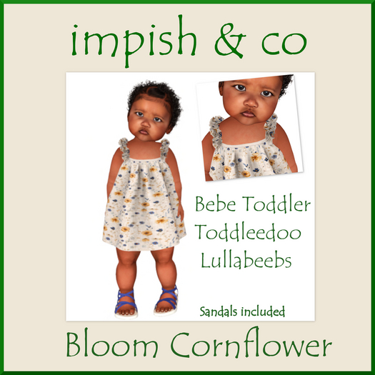 impish & co ~ Bloom Cornflower BOX