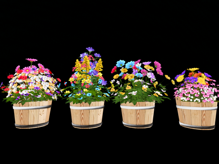 MC Spring Colorful Bucket Floral Planter Set