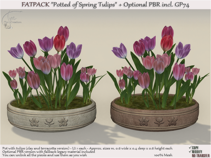 Potted of Spring Tulips (PBR incl.) FATPACK GP74