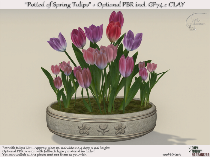 Potted of Spring Flowers Tulips (PBR incl.) CLAY GP74.c