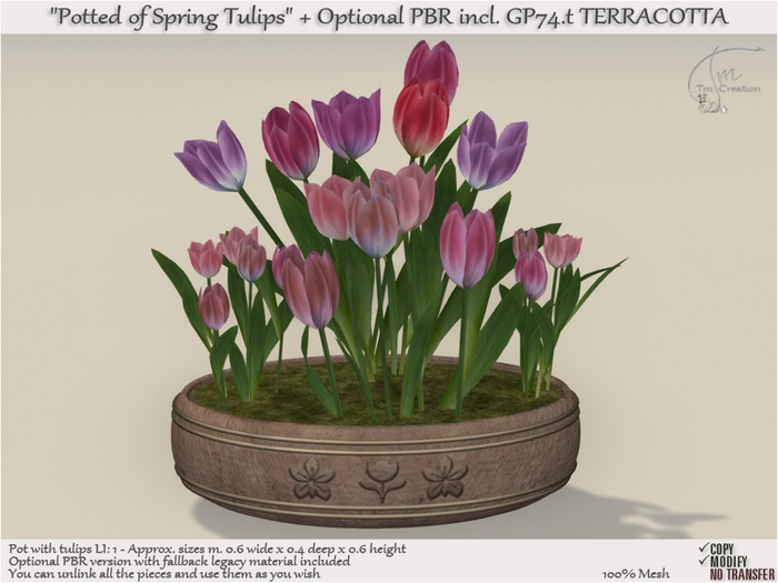 Potted of Spring Flowers Tulips (PBR incl.) TERRACOTTA GP74.t