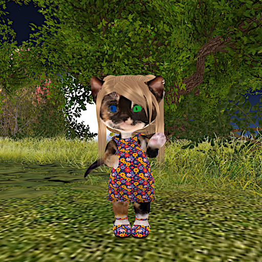 Dinkie - Cassie Dress 2