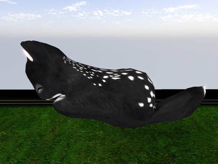 Stray Cats Kitten - Stray Kitty (M)