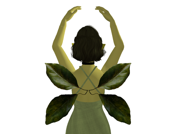 Lemon Leaf Wings