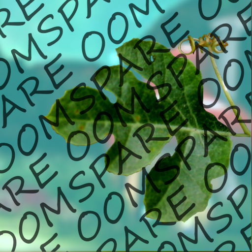 Watermelon Leaf Wing Texture