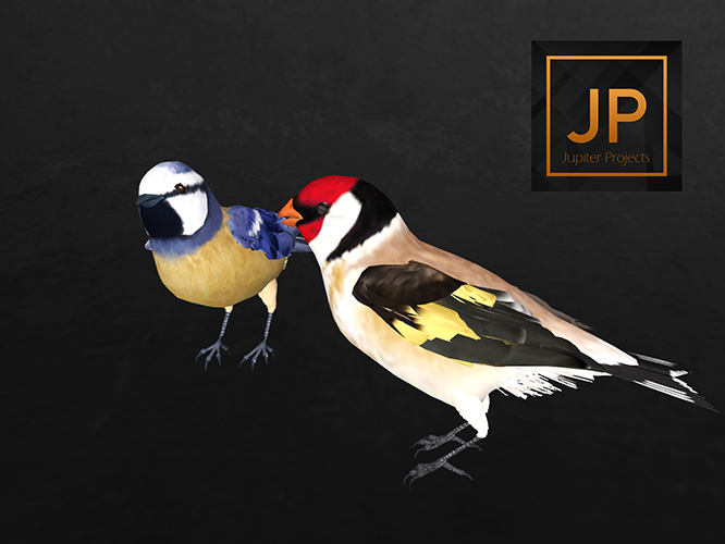 3rd Eye_Lore 17 ( Radagast Birds ) ( Touch To Animate )