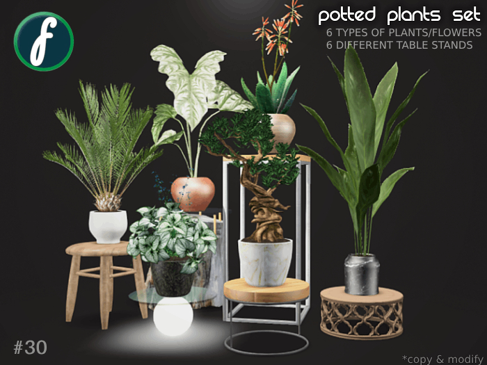 friller Potted Plants Set #30