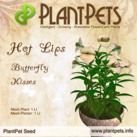PlantPet Seed [Hot Lips *Butterfly Kisses*] RARE - JUNE SALE