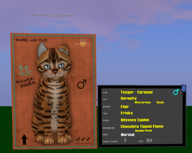 KittyCatS Box - 9T(BTB) Frisky OdEq Caramel M