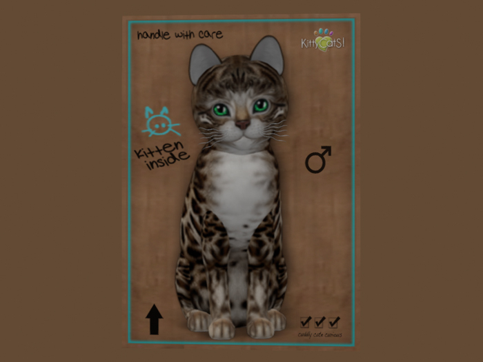 KittyCatS Bengal - Tawny