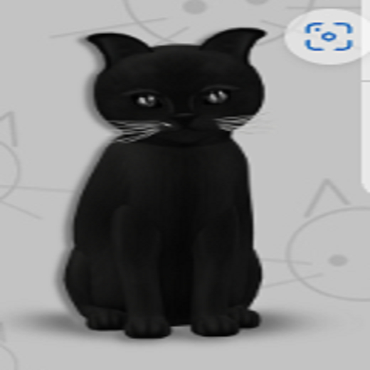 KittyCatS Box -Russian - Black