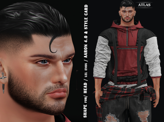 *ATLAS*SHAPE BRAD for/ HEAD / lel evox / AARON 4.0 & STYLE CARD