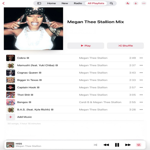 Music HUD Unpacker - Megan Thee Stallion Mix