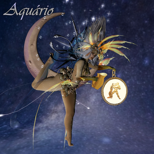 Hpose The Celestial Zodiac Signs Aquarius(Box)