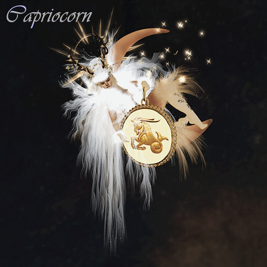 Hpose The Celestial Zodiac Signs Capricorn(Box)