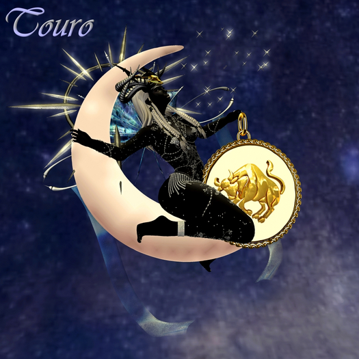 Hpose The Celestial Zodiac Signs Taurus(Box)