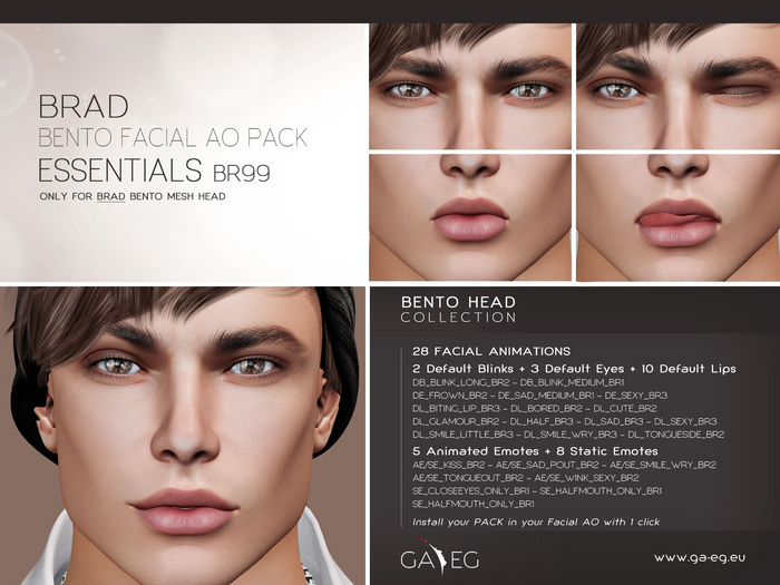 NEW !!! [GA.EG] Brad Bento Facial AO Pack - BR99 Essentials