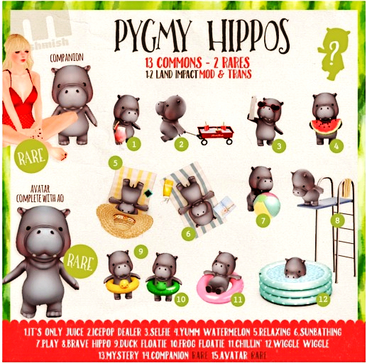 MishMish - Pygmy Hippo 10 - Frog floatie