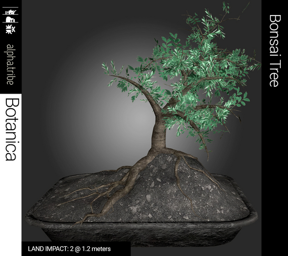 a.tribe::: [Botanica] Bonsai Tree 02 LI 2 @ 1.2 meters