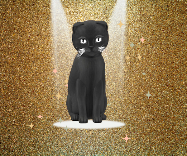 KittyCatS Box - F Bigger de Big Russian - Black