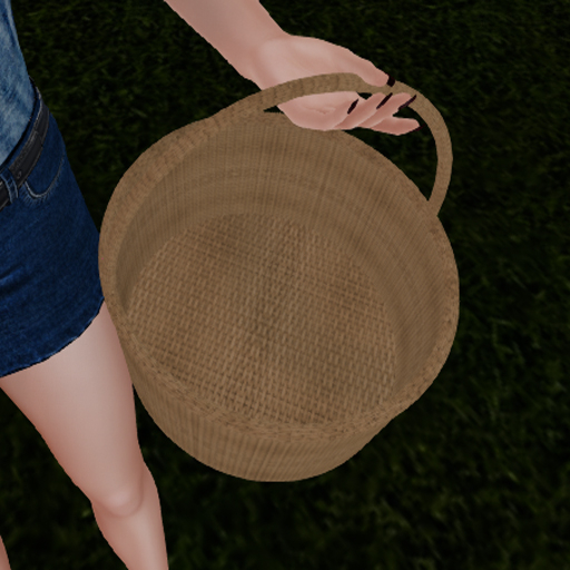 Empty Basket (Wear)