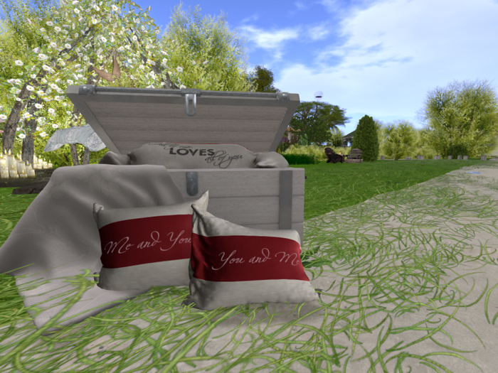 Wooden Beach Box - No Animation