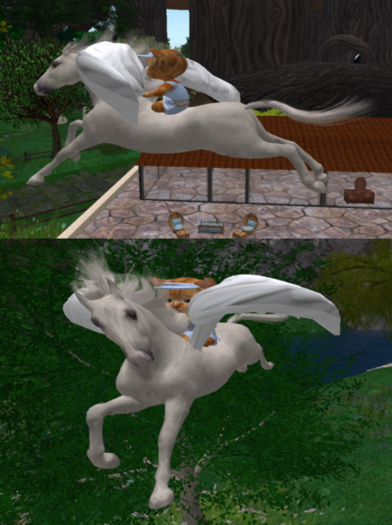 Dinkie Pegasus 