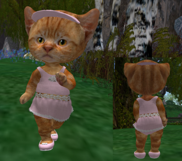 Dinkie Linen and Lace rose