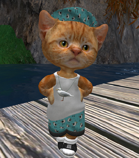 Dinkie Seagull Shorts