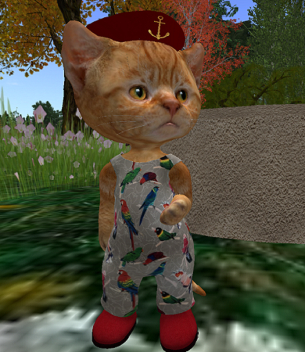 Dinkie Parrot Jumpsuit 