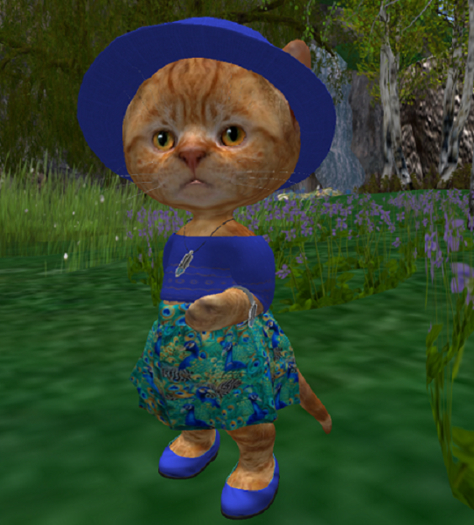 Dinkie Peacock Skirt/Crop