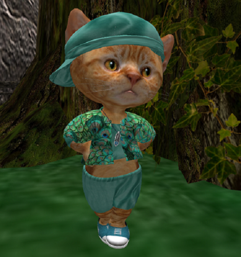Dinkie Peacock Shorts
