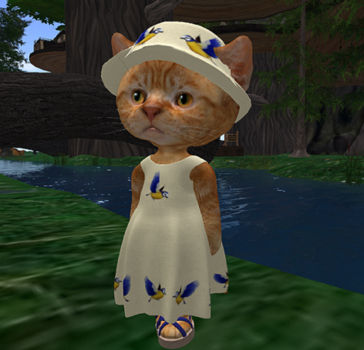 Dinkie Flycatchers Dress 