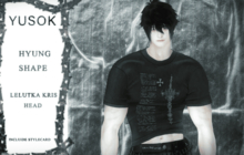 YK.HYUNG SHAPE KRIS