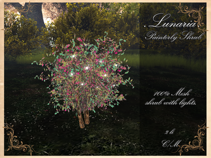 .Lunaria. Painterly Shrub 