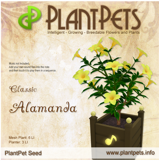 PlantPet Seed [Alamanda *Classic*]
