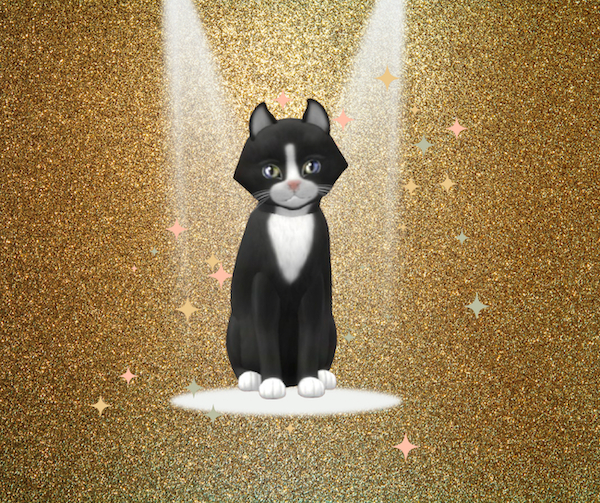 KittyCatS Box - F Chateau Cat - Slate & White No. 1 Magic Kiss