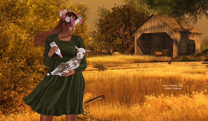 Sorumin- Village memories SET-  Khaki  Dress and accessories