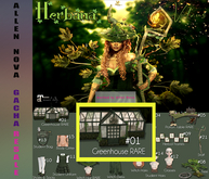 01. The Witch Greenhouse RARE - VULNUS - SALE !