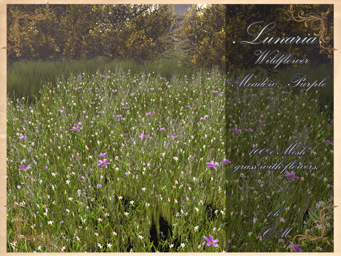 .Lunaria. Wildflower Meadow - Purple 