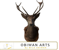 Woodland Trophy Rustic Deer Wall Mount
