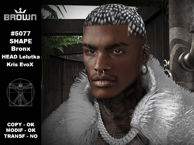 Second Life Marketplace - 5077 SHAPE Bronx HEAD Lelutka Kris EvoX