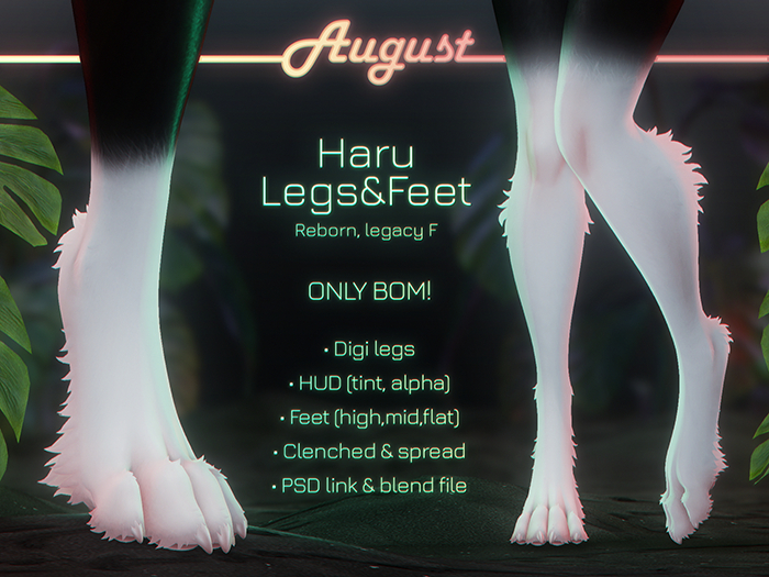 [• AUGUST •] - Haru Legs&Feet (Female)