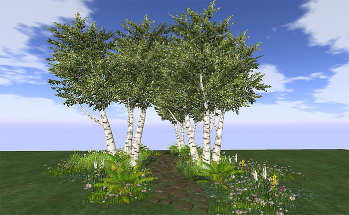 Jad Garden - Summer & Spring Birches and Ferns path
