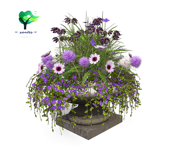 ~ xantes ~ Flowers Planter Arjonka (BOX)