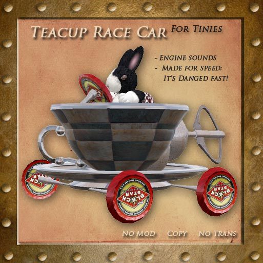 Teacup Race Car For Tinies By Steam Kitten