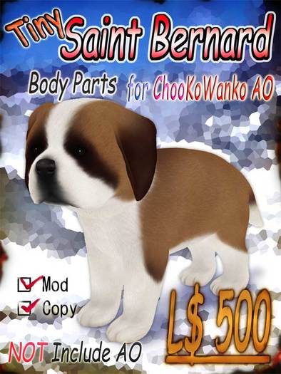 Tiny Saint Bernard Body