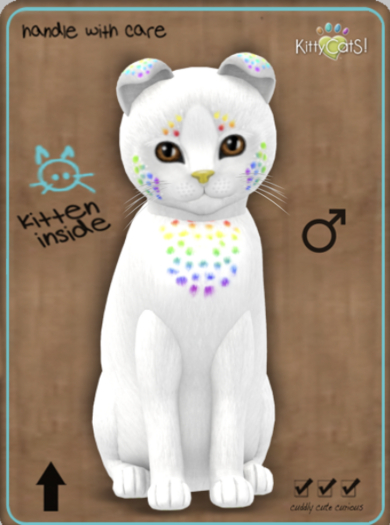 KittyCatS Box - Confetti - CocoBerry Male