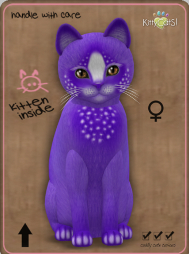 KittyCatS Box - Confetti - PlumBerry Female